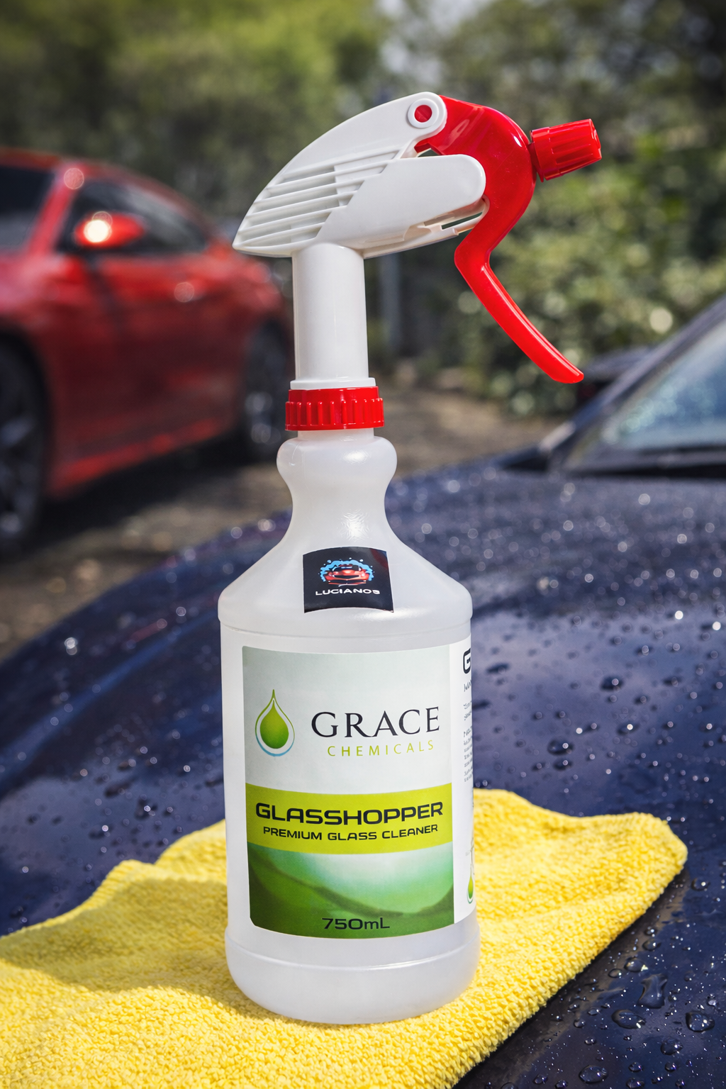 Premium Glass Cleaner 750mL